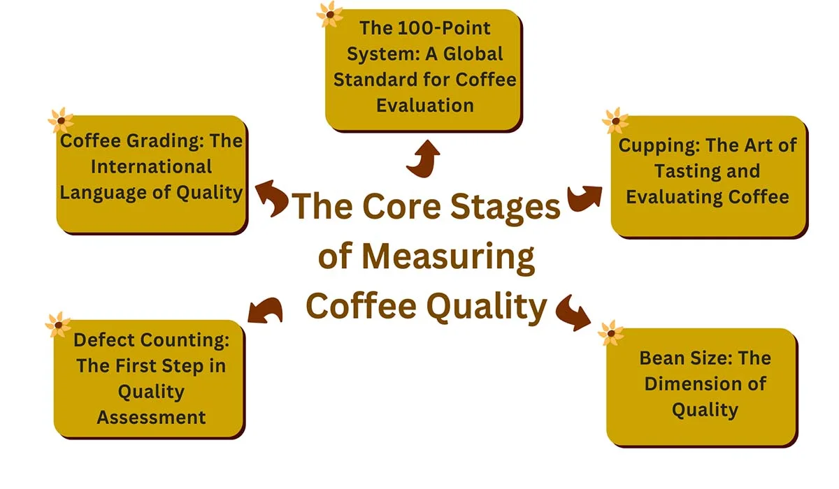 Coffee Quality Assessment