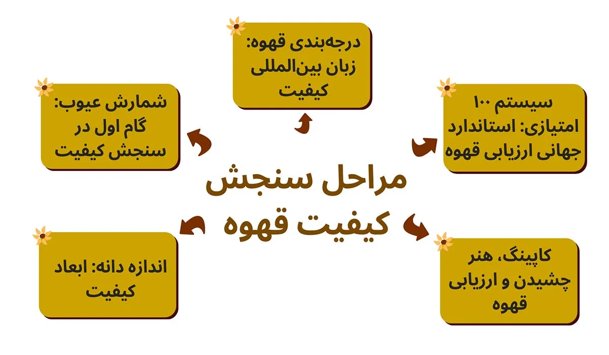 سنجش کیفیت قهوه