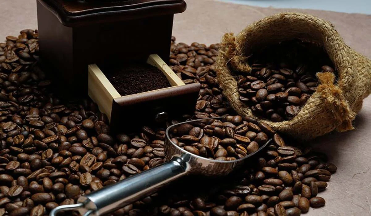 کارخانه برشته کاری قهوه