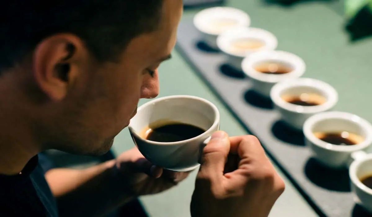 معیارهای درجهبندی قهوه