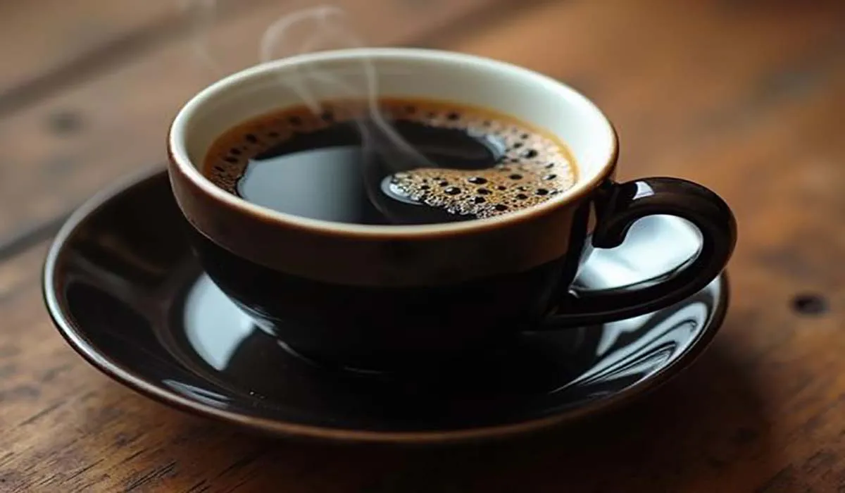 دان قهوه اکسلسا